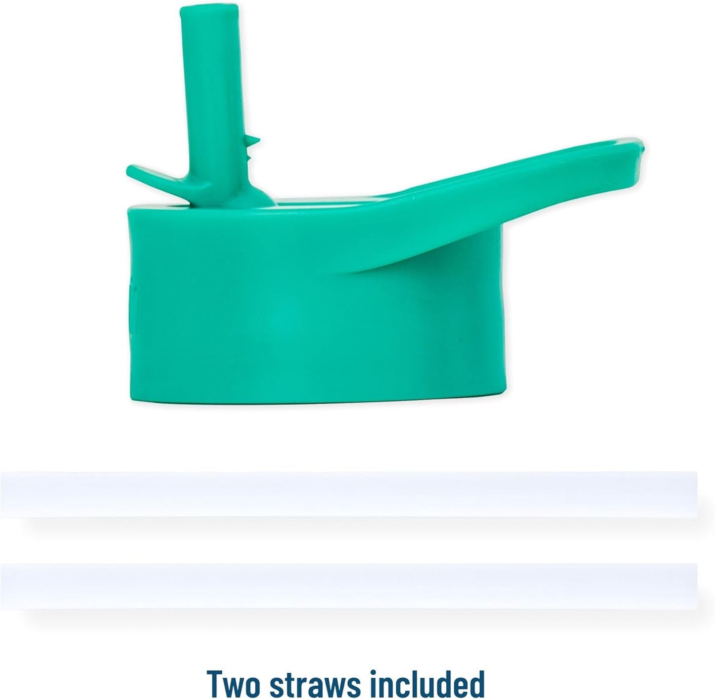 Wildkin Botella de agua de plástico dinosaurios