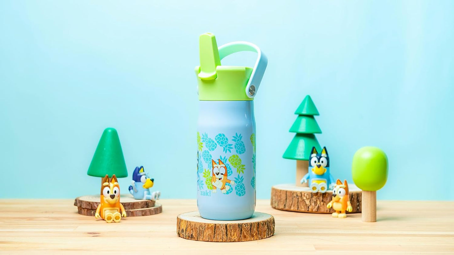 Zak Designs Botella de agua de acero inoxidable