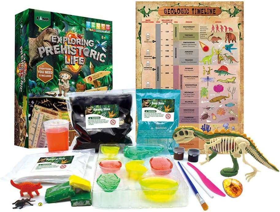 Divertido kit educativo de ciencia