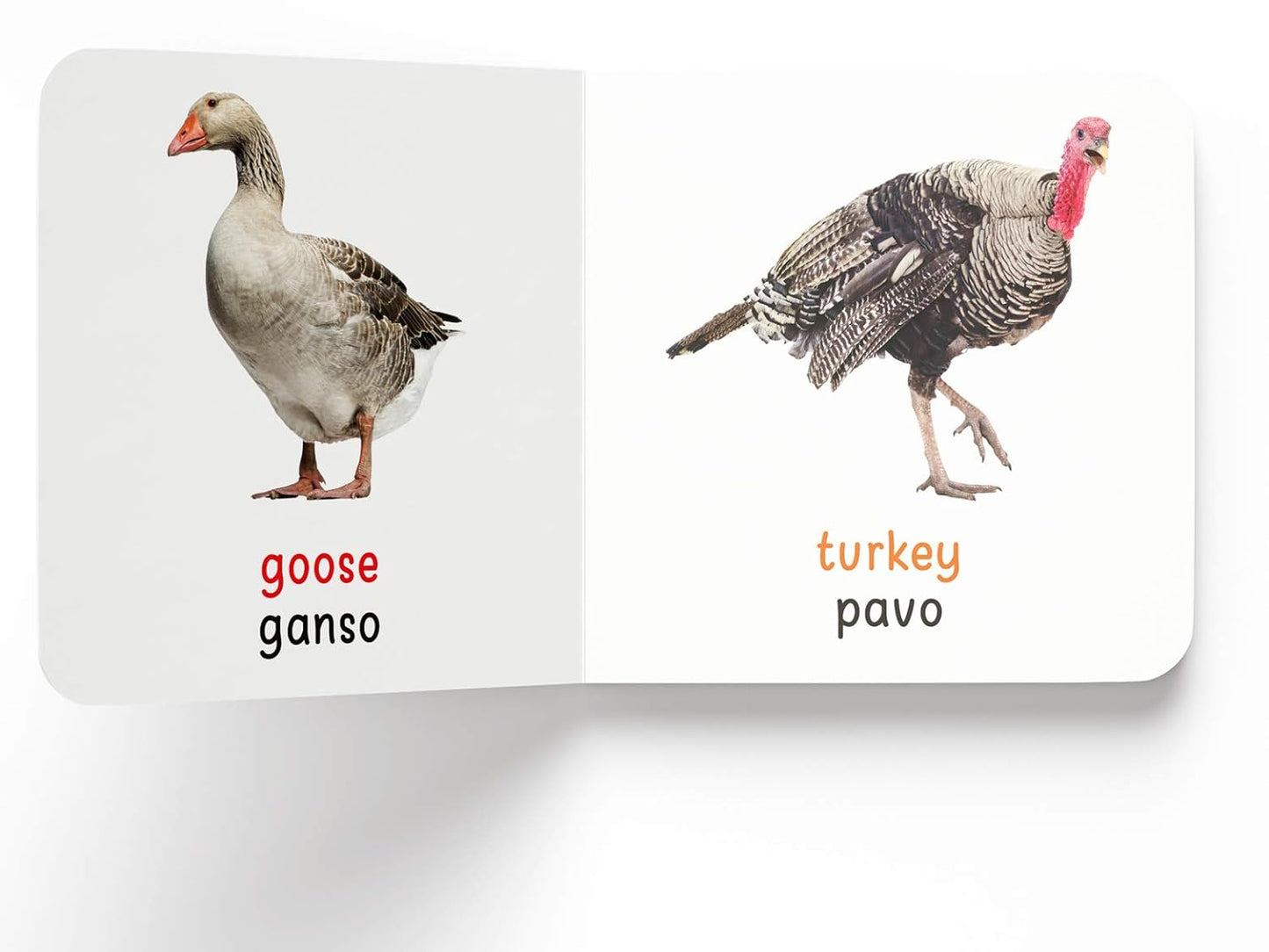 Mi Primera Biblioteca de Aprendizaje de Inglés - Español