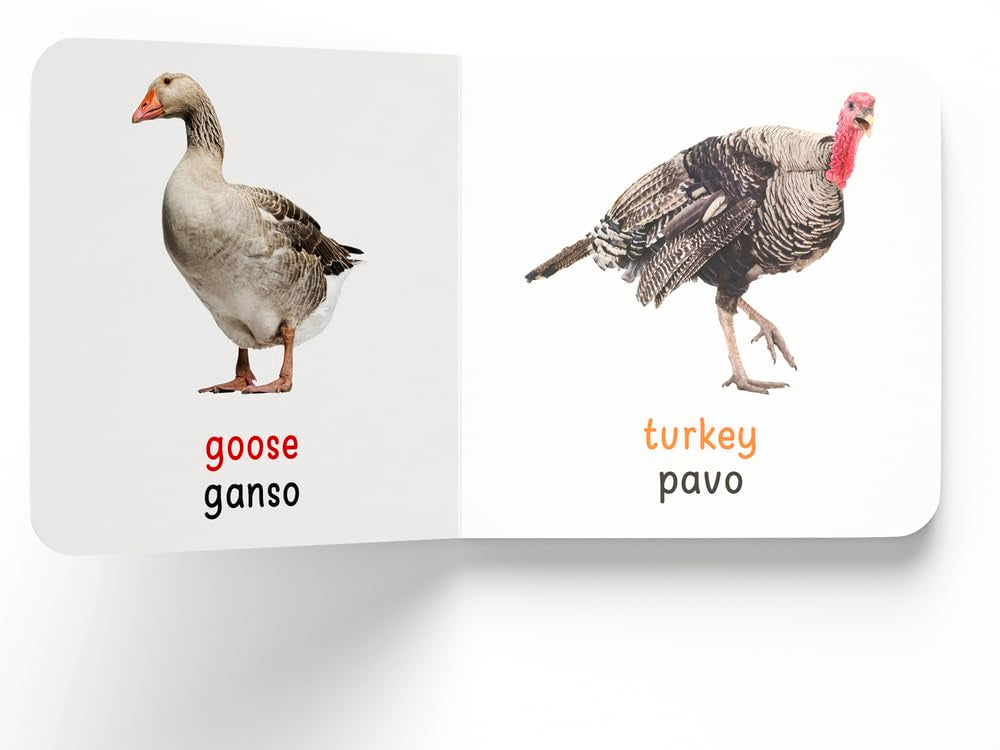Mi Primera Biblioteca de Aprendizaje de Inglés - Español