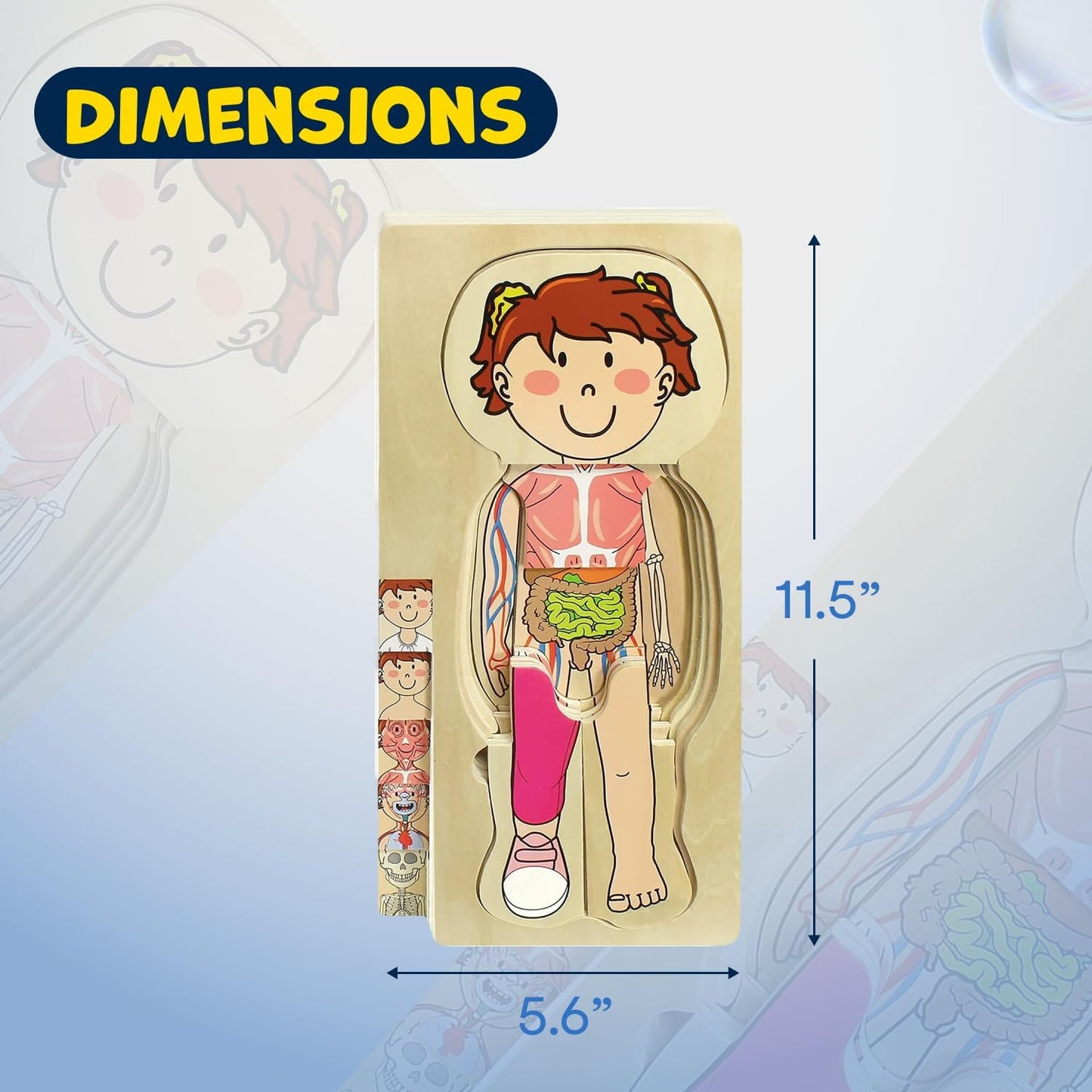 Juego de rompecabezas de anatomía