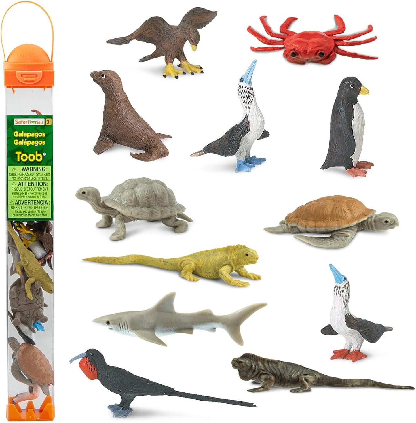 TOOB - Figuras