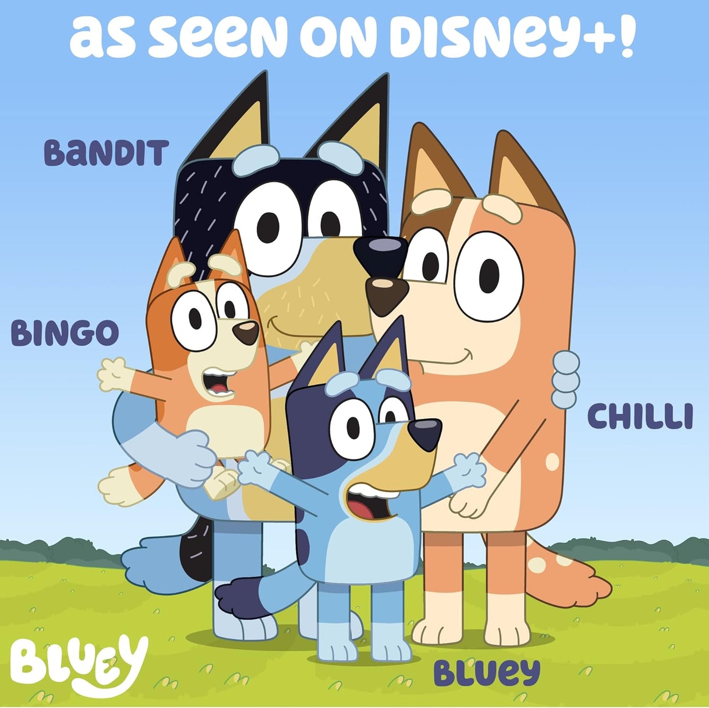 Kit de joyería bluey