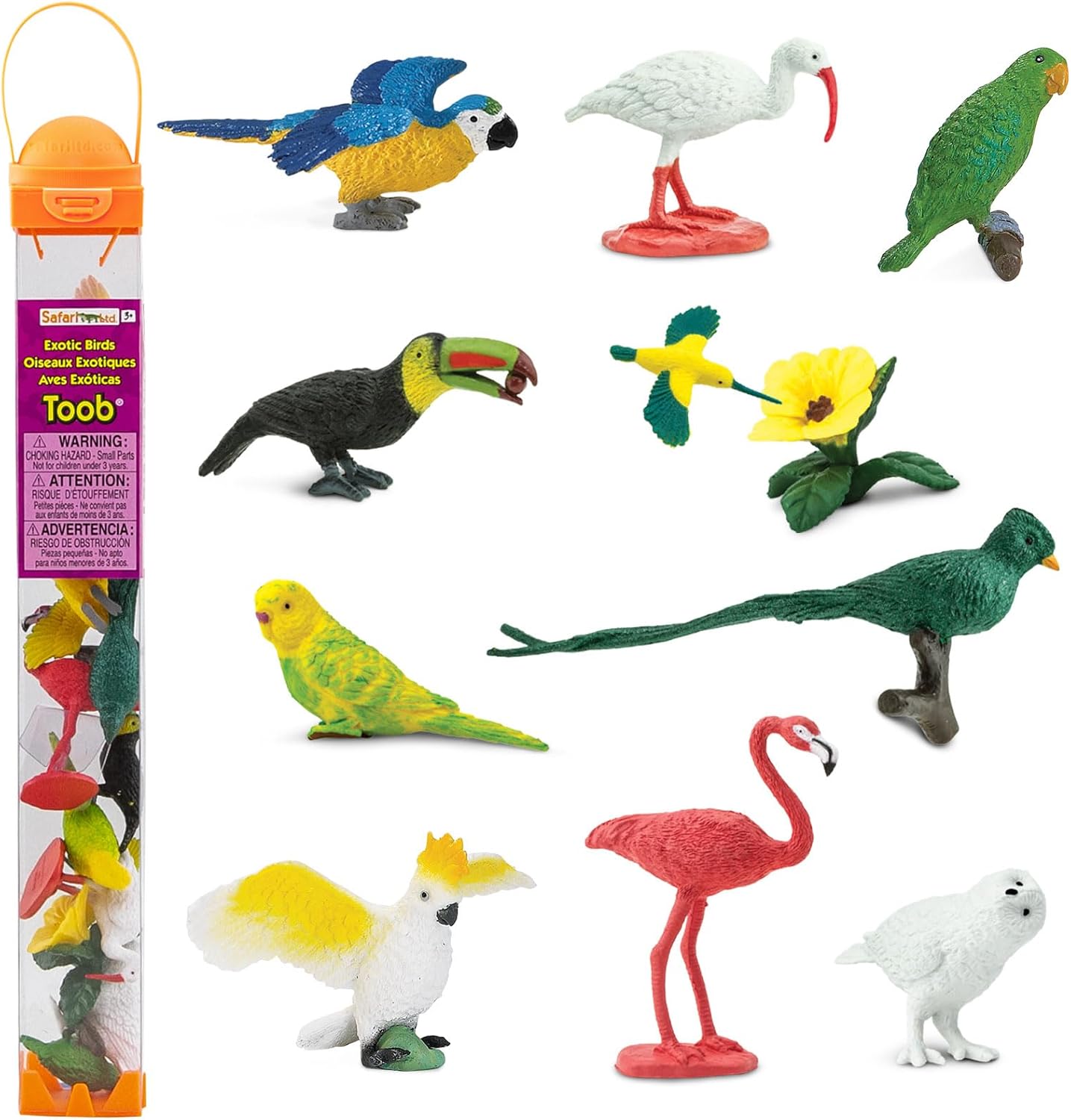 TOOB - Figuras