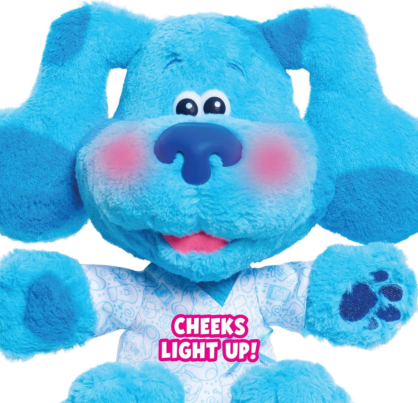 Blue's Clues & You! Check-Up Time