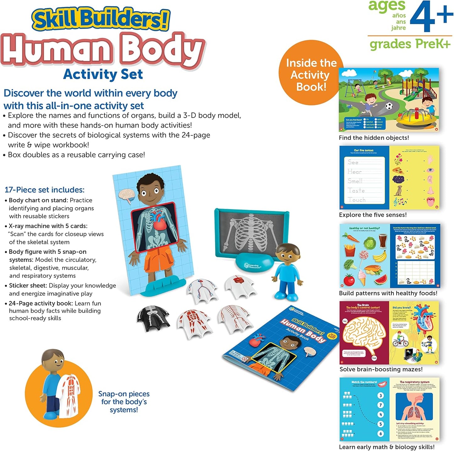Set de Actividades del Cuerpo Humano