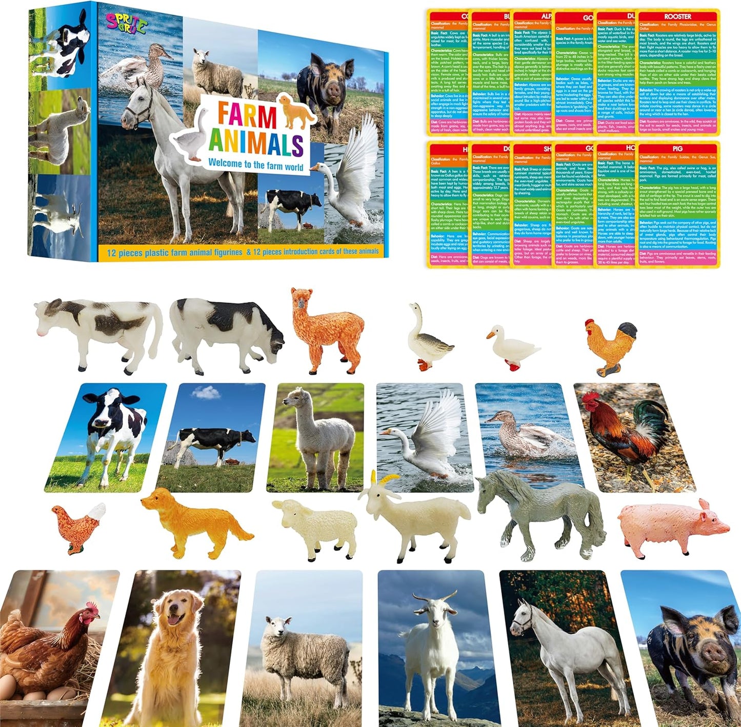 Tarjetas y animales