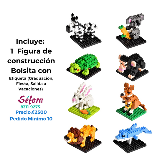 Kit Multi-Ocasión: Graduación, Vacaciones y Fiesta (Pedido Mínimo 10)