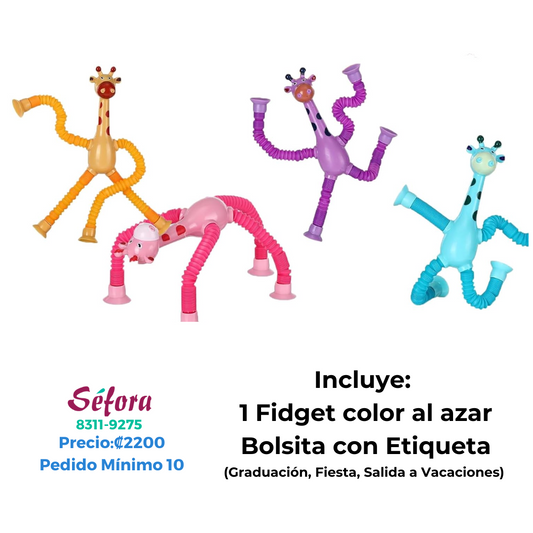 Kit Multi-Ocasión: Graduación, Vacaciones y Fiesta (Pedido Mínimo 10)