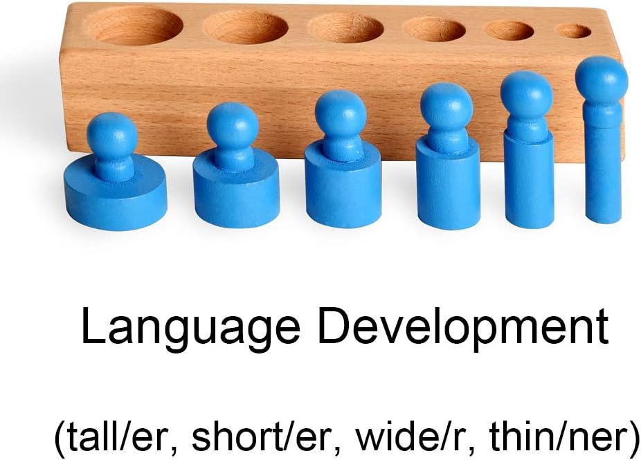 Montessori - Bloques de cilindros clavijas 