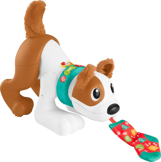 Fisher-Price Juguete de aprendizaje