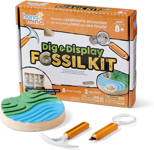 hand2mind - Kit de excavación de fósiles para excavar y exhibir, vitrina de fósiles, 8 fósiles reales para descubrir