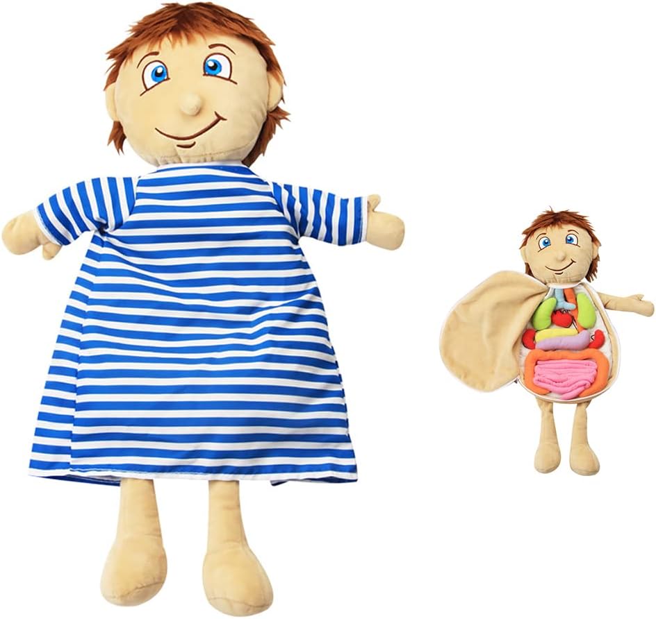 Juguetes de anatomía