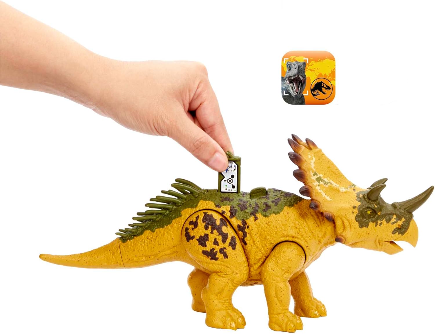 Mattel Jurassic World - Juguete de dinosaurio rugido salvaje con sonido y movimiento de ataque, figura de acción Regaliceratops Posable