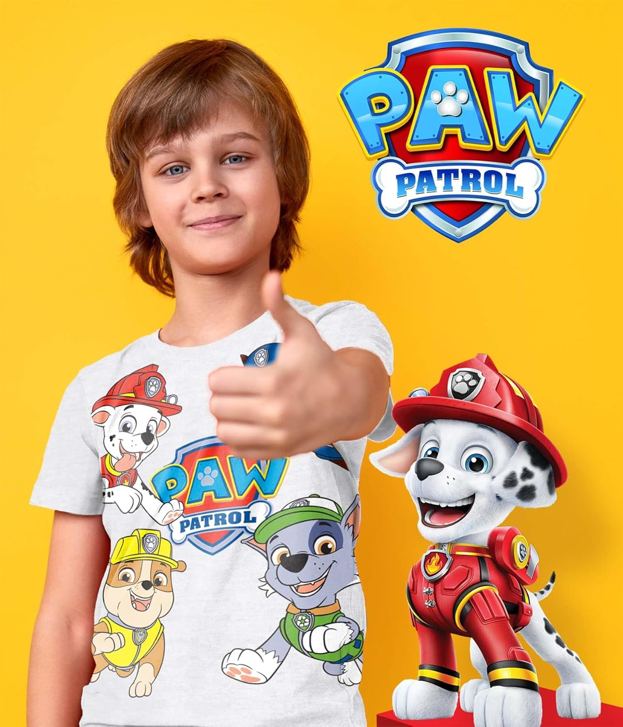 Camiseta gráfica de Paw Patrol