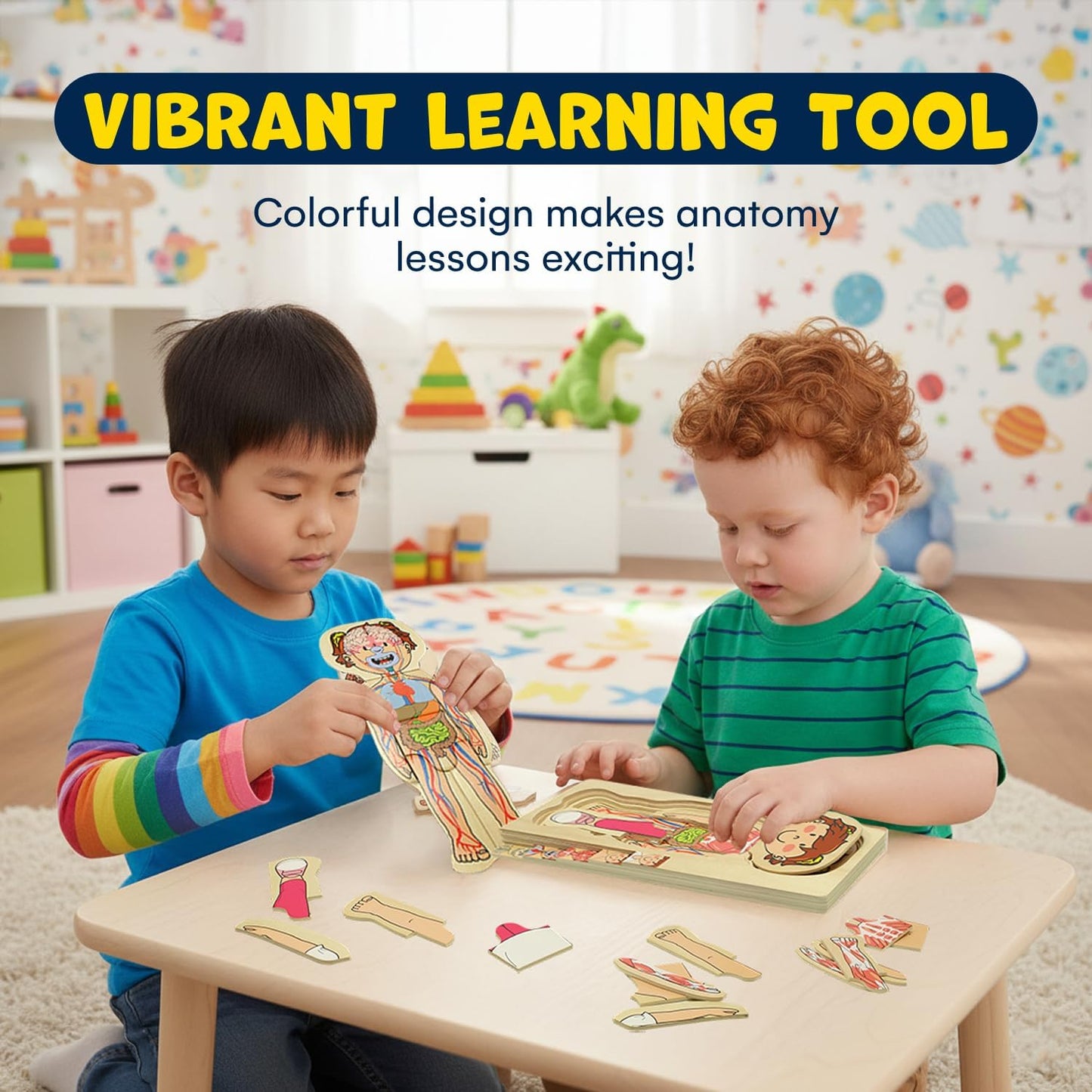 Juego de rompecabezas de anatomía