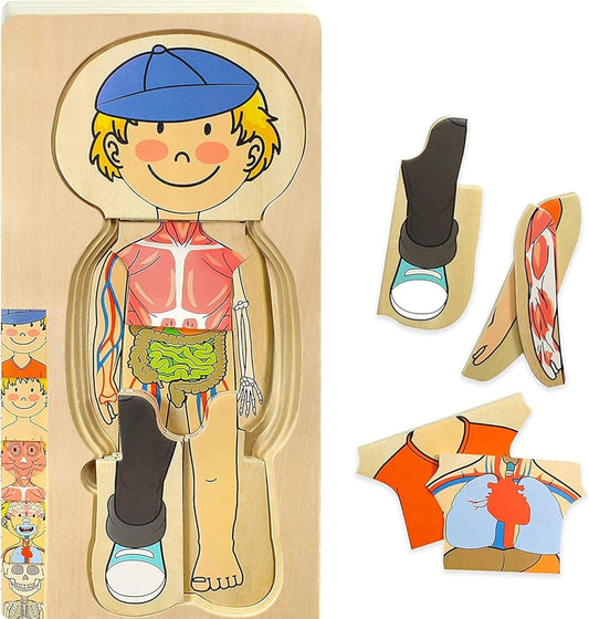 Juego de rompecabezas de anatomía