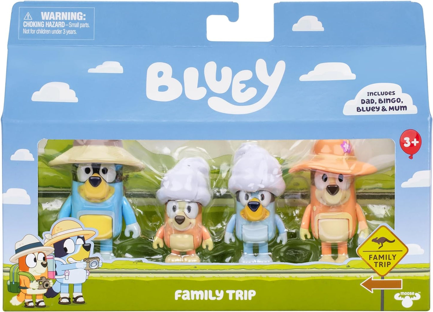 Bluey Family Trip